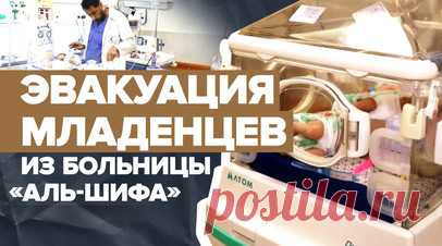 Шанс на жизнь: эвакуированных из Газы младенцев перевезли в Египет. Эвакуированных из больницы «Аль-Шифа» младенцев перевезли в Египет. Их доставят в неонатальные отделения местных больниц для оказания необходимой помощи. Ранее 31 новорождённого удалось вывезти из госпиталя «Аль-Шифа» в секторе Газа в город Рафах на границе с Египтом. Дети истощены, некоторым из них необходимо подключение к кислороду. Подробнее — в видео RT. Читать далее
