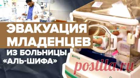 Шанс на жизнь: эвакуированных из Газы младенцев перевезли в Египет. Эвакуированных из больницы «Аль-Шифа» младенцев перевезли в Египет. Их доставят в неонатальные отделения местных больниц для оказания необходимой помощи. Ранее 31 новорождённого удалось вывезти из госпиталя «Аль-Шифа» в секторе Газа в город Рафах на границе с Египтом. Дети истощены, некоторым из них необходимо подключение к кислороду. Подробнее — в видео RT. Читать далее