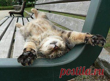 Работа, работа, перейди на Федота, а с Федота на брата, а ко мне их зарплата!