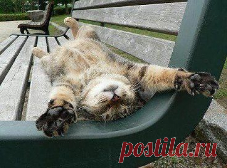 Работа, работа, перейди на Федота, а с Федота на брата, а ко мне их зарплата!