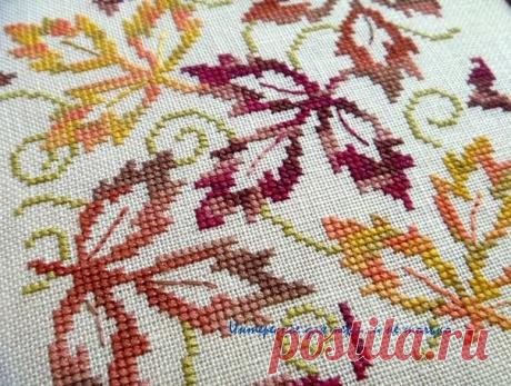 (23) Одноклассники