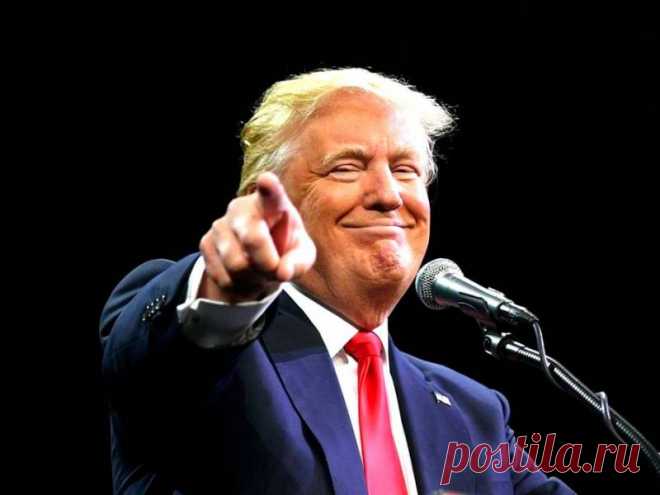 Дональд Трамп и его самые известные коммерческие цитаты - Доска объявлений Краснодарского края | kuban-biznes.ru