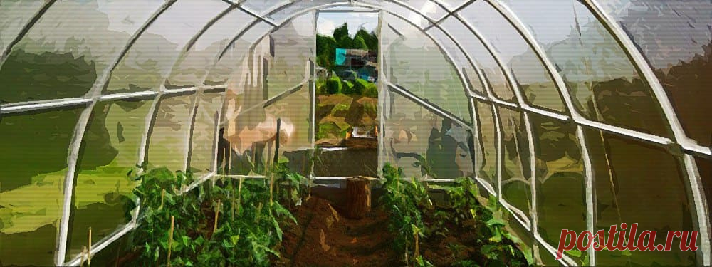 🥒 Какой поликарбонат лучше для теплицы: виды, использование, характеристики Дачный сезон уже не за горами. Садоводы во всю решают вопросы подготовки своего приусадебного участка к новому дачному сезону. Многие отказались от привычных нам клеёнчатых укрытий, и используют современные материалы. В этом обзоре редакции Homius поговорим о том, какой поликарбонат лучше для теплицы, как его правильно выбрать и на что обращать внимание при покупке укрытия. Достоинства и недостатк...