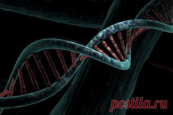 PNAS: эволюция не так случайна, как считалось ранее Новое исследование показало, что эволюция не так непредсказуема, как считалось ранее, что может позволить ученым изучить, какие гены могут быть полезны для решения реальных проблем, таких как устойчивость к антибиотикам, болезни и изменение климата.Исследование, опубликованное в...