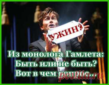 Правильное питание завтрак, а как быть с ужином
