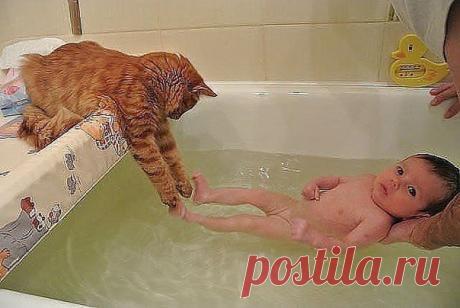 Все для МАМ