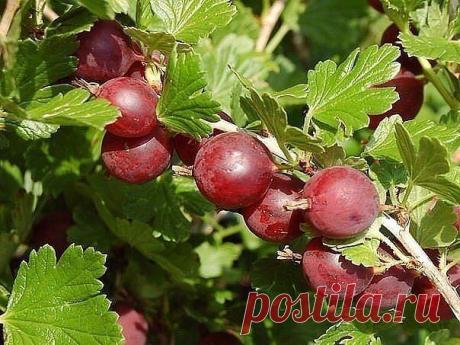 Фотографии на стене сообщества – 40 047 фотографий | ВКонтакте