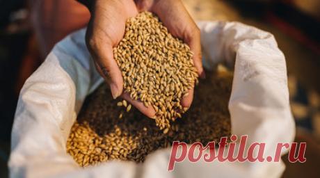 Середюк: Кузбасс по итогам уборочной кампании обеспечил себя зерном. Губернатор Кемеровской области Илья Середюк заявил, что по итогам уборочной кампании регион полностью обеспечил себя зерном. Читать далее