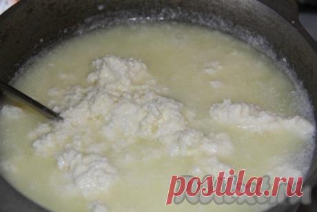 Рецепт сыра в домашних условиях - 7 пошаговых фото в рецепте