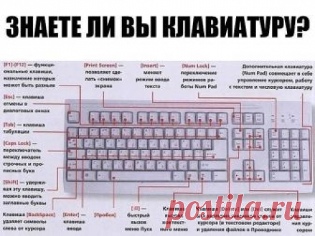 ЗНАЕТЕ ЛИ ВЫ КЛАВИАТУРУ НА СВОЁМ КОМПЬЮТЕРЕ? ЗНАЕТЕ ЛИ ВЫ КЛАВИАТУРУ НА СВОЁМ КОМПЬЮТЕРЕ?
 
F1— вызывает «справку» Windows или окно помощи активной программы. В Microsoft Word комбинация клавиш Shift+F1 показывает форматирование текста;
 
F2— переименовывает выделенный объект на рабочем столе или в окне проводника;
 
F3— открывает окно поиска файла или папки на рабочем столе и в проводнике. Комбинация клавиш Shift+F3 часто используется для поиска в обратном направлении;
 
...