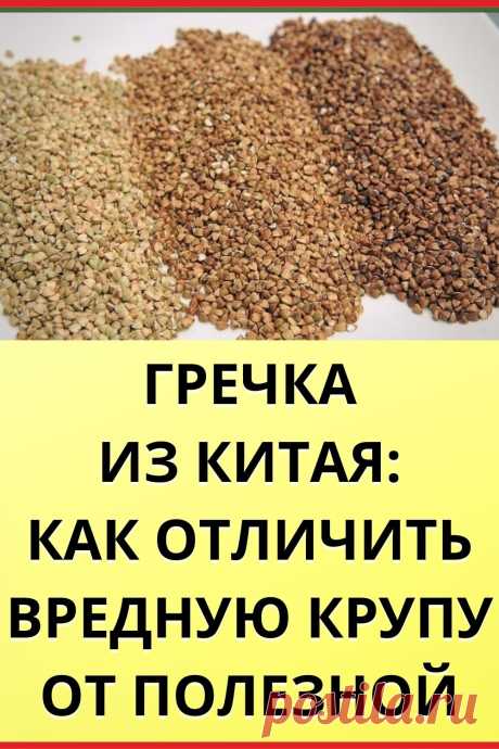 Гречка из Китая: как отличить вредную крупу от полезной