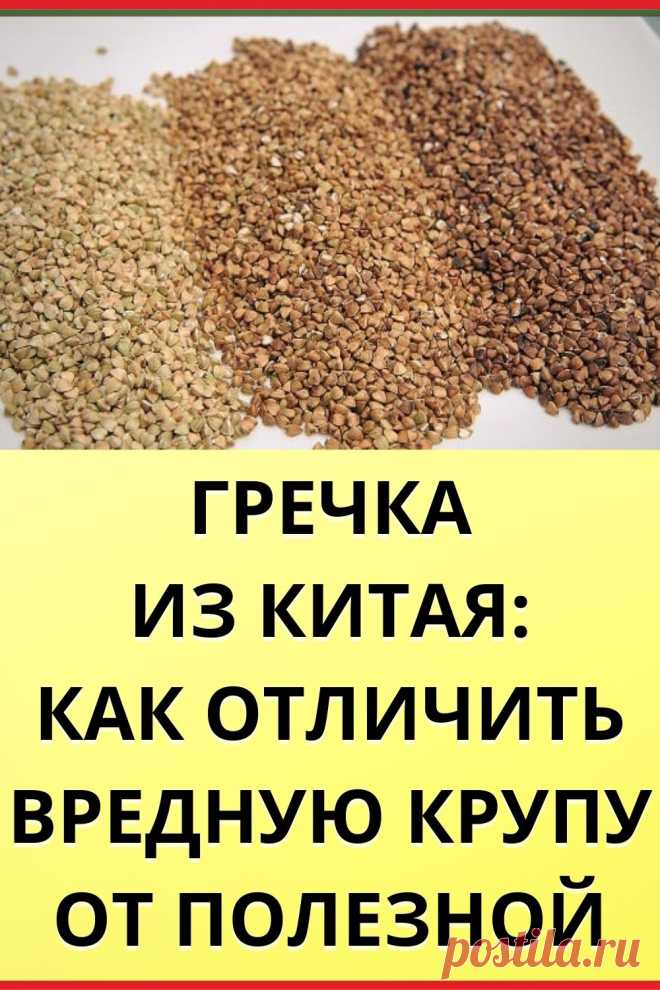 Гречка из Китая: как отличить вредную крупу от полезной