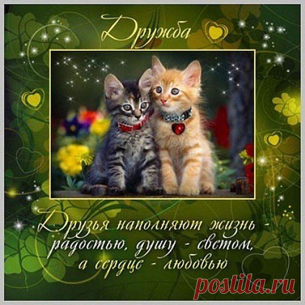 Есть для каждого из нас Особенные люди..