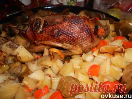 &quot;запеченная кряква с овощами&quot; - Простые рецепты Овкусе.ру