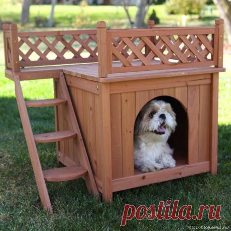 Оригинальный и уютный домик для собаки