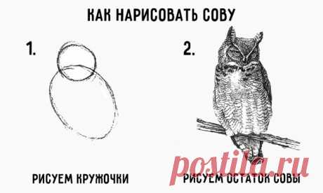 Красивые рисунки карандашом, которые легко нарисовать с детьми
