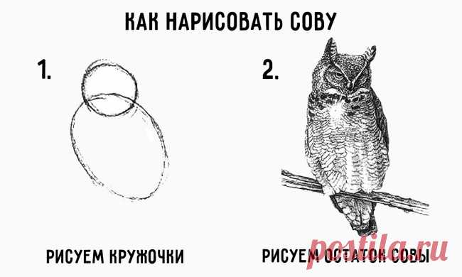 Красивые рисунки карандашом, которые легко нарисовать с детьми