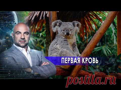 Первая кровь. «Как устроен мир