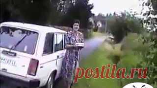 GIFприкол: Тёща приехала!