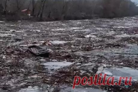 Горы мусора поплыли из Украины в Европу и попали на видео