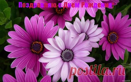 Открытки С ДНЕМ РОЖДЕНИЯ! Бесплатно!
