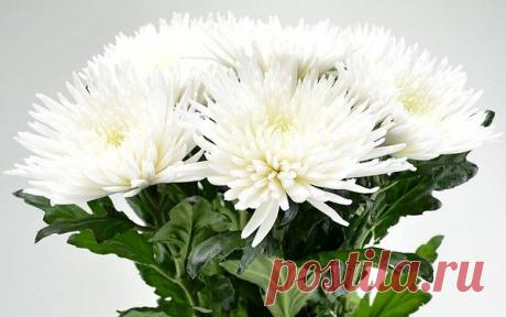 Популярные записи по теме «путешествия»