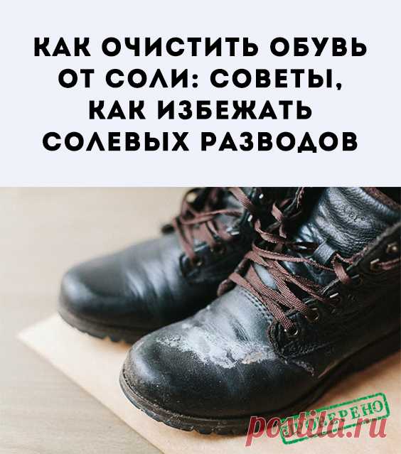 Как очистить обувь от соли: Откуда берется соль на обуви? Как почистить кожаную, замшевую обувь, из нубука от солевых разводов? Домашние и профессиональные средства. Советы, как избежать солевых разводов.