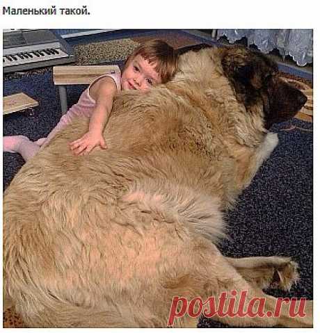 Такой маленький