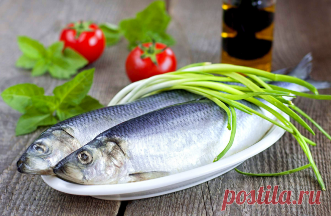 Ешьте правильно и живите дольше: эти 11 русских продуктов настоящий ключ к долголетию они замедляют старение и продлевают жизнь | MEREL | KITCHEN | Дзен