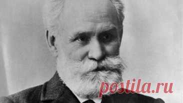 Что есть: золотые правила питания академика Павлова, получившего Нобелевскую премию | Просто о жизни и воспитании | Дзен