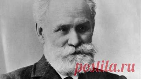 Что есть: золотые правила питания академика Павлова, получившего Нобелевскую премию | Просто о жизни и воспитании | Дзен