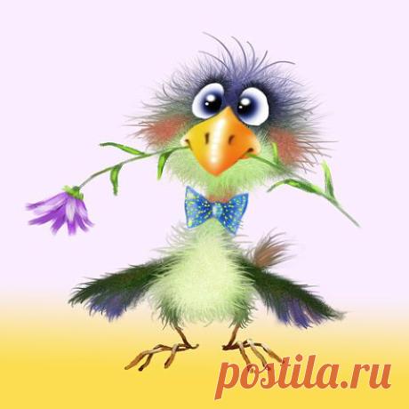 Одноклассники