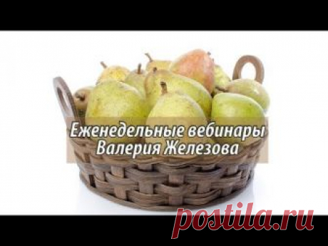 Вебинар.Полезные и эффективные советы для создания сада