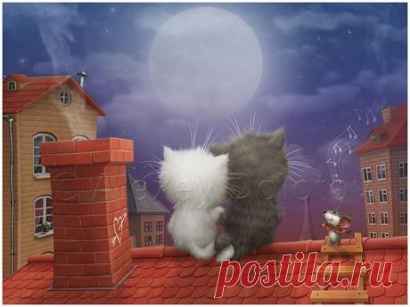 Алексей Долотов. Такие милые коты | Colors.life