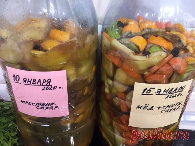 Энзимы своими руками. Готовлюсь к дачному сезону, сейчас самое время... | Вязание и Рукоделие | Яндекс Дзен