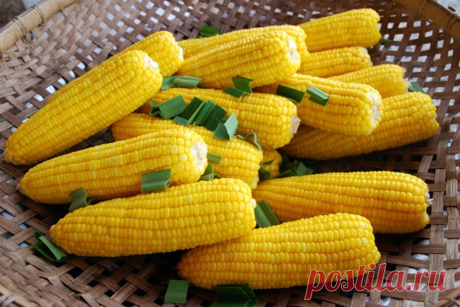 12 продуктов, которые можно есть после шести — СОВЕТНИК
