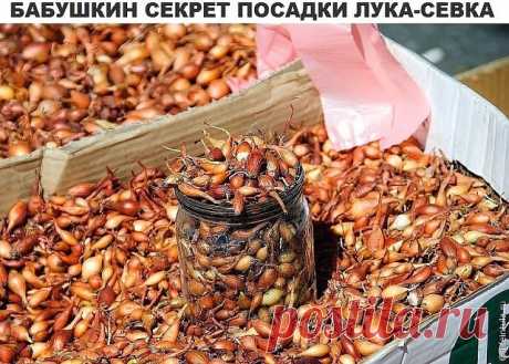 Комментарии к теме