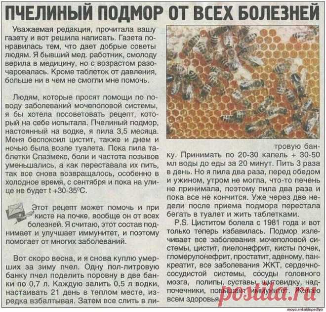 ЧУДО ПРОПОЛИС ОТ СОТНИ БОЛЕЗНЕЙ