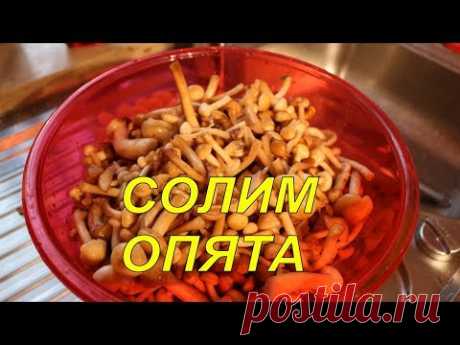 Солим опята.Грибы Новинка 2017
