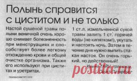 Полынь при циститах и уретритах