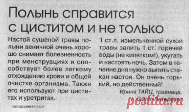 Полынь при циститах и уретритах