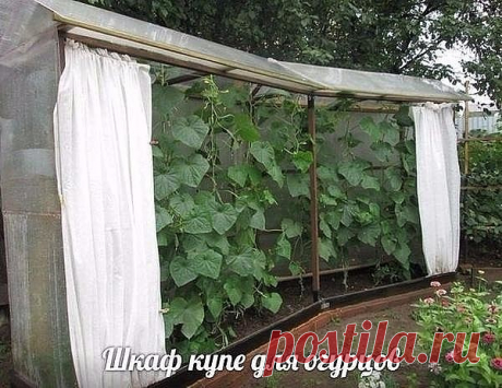 (45) Одноклассники