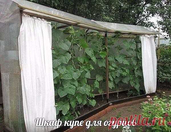 (45) Одноклассники