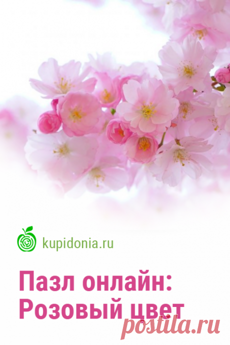 Пазл онлайн: Розовый цвет. Красивый пазл онлайн с цветущей сакурой из серии «Весенние цветы». Собирайте пазлы на сайте! Это отличная тренировка для мозга.