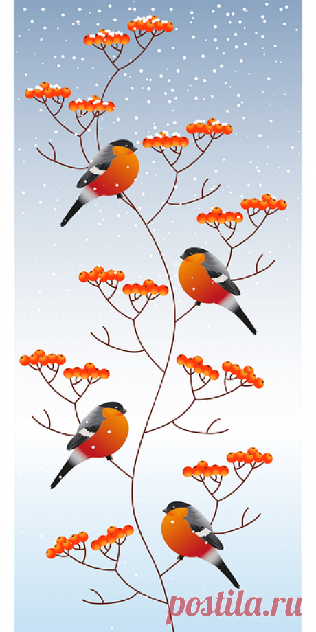 Сергей Трофимов Снегири Песни 2000-х - Журнал полезных советов