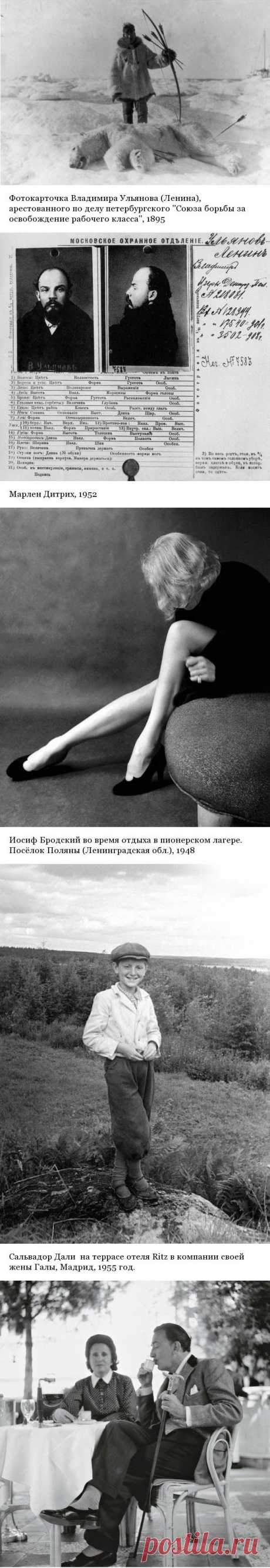 Редкий кадр (Часть 2) - Болтай