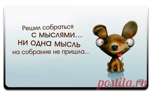 Воскресные картинки // ОПТИМИСТ