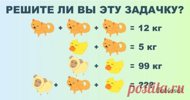 Школьники решают эту задачку на раз-два. А вы справитесь? — Хитрости жизни
