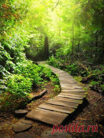 20 отличных идей для садовой дорожки — Roomble.com