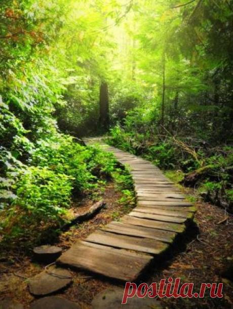 20 отличных идей для садовой дорожки — Roomble.com